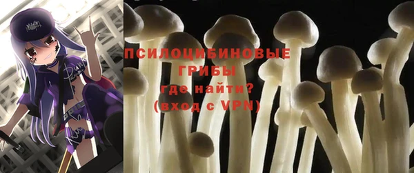 a pvp Беломорск