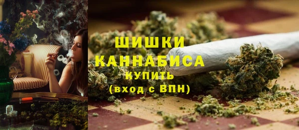 стаф Богородск