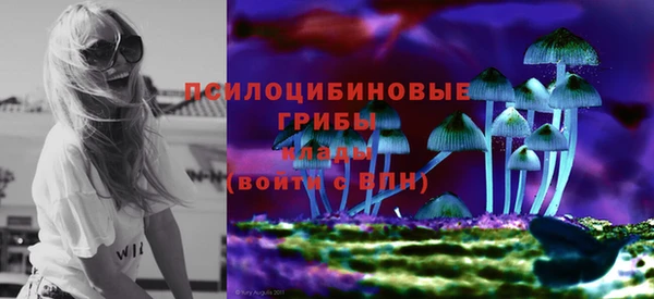 a pvp Беломорск